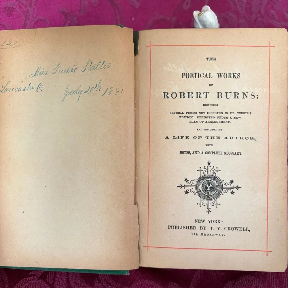 1881 The Poetical Works of Robert Burns, Antique Poetry Book, T. Y. Crowell